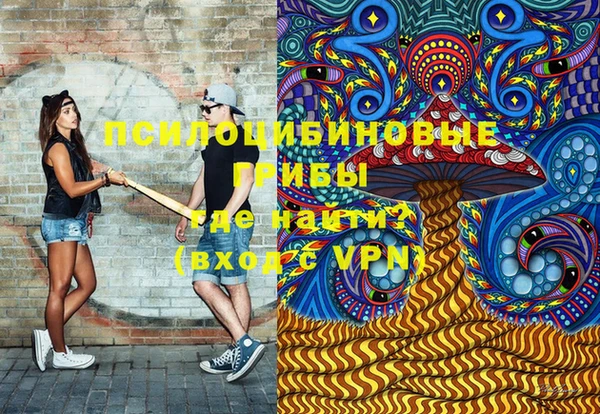прущие грибы Алексин