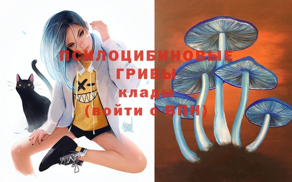 прущие грибы Алексин
