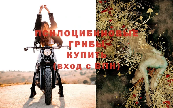 прущие грибы Алексин