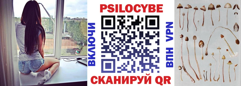 Псилоцибиновые грибы Psilocybe  Богучар 
